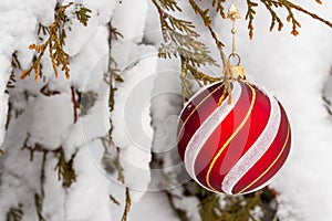 Christmas ball on a snow-covered tree branch