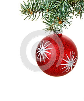 Christmas ball on spruce tree branch