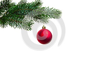 Christmas ball on twig of evergreen
