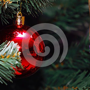 Christmas balls on the Christmas tree branch. Magic lights