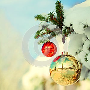 Christmas Balls on Christmas tree branch with Snow