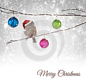 Christmas balls and sparrow bird on snowy branch