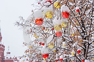 Christmas balls on tree covered with snow. Streets of Moscow decorated for New Year and Christmas celebration. Russia