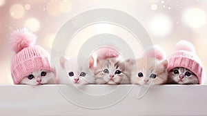 Christmas banner with cute kittens. Group cats above white banner looking at camera. Pink Christmas signboard or gift