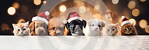 Christmas banner with cute puppies and kittens. Group of dogs and cats with red Santa hats above white banner looking at