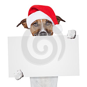 Christmas banner placeholder dog