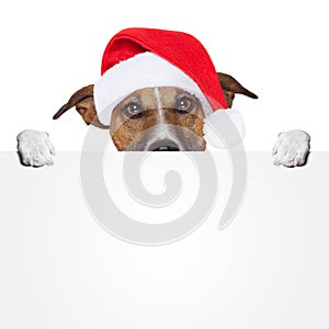 Christmas banner placeholder dog