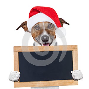 Christmas banner placeholder dog