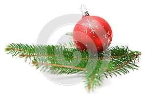 Christmas Bauble on Fir Branch