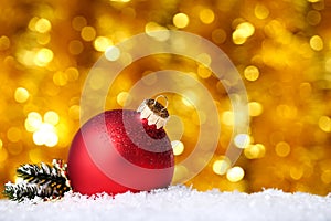 Christmas bauble with fir tree branch