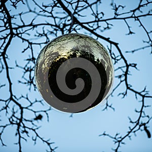 Christmas bauble hanging from tree