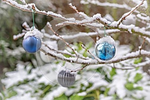 Christmas baubles covered with snow, hanging from a branch of a tree