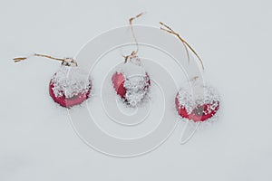 Christmas baubles covered with snow, three red baubles