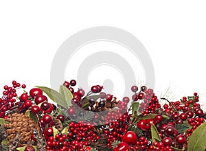Christmas Berry Border