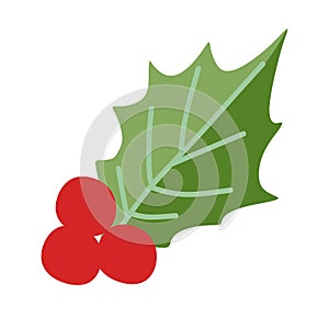 Christmas berry holly ilex aquifolium leaves and fruit. Floral branch, red xmas winter decor. Vector decorative botany leaf,