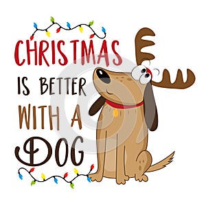 Christmas is better with a dog - Cute dog in deer antler and christmas lights.