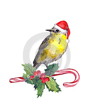 Christmas bird in red santa hat on candycane, mistletoe. Watercolor