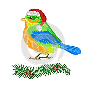 Christmas bird vector