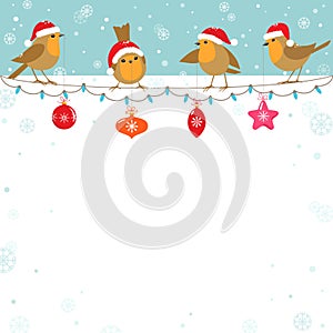 Christmas birds