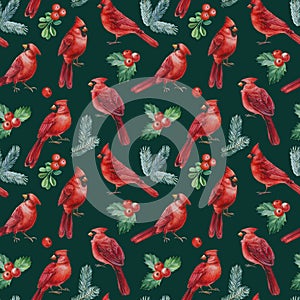 Christmas birds, seamless pattern, watercolor illustration. Red cardinal, spruce branches, holly