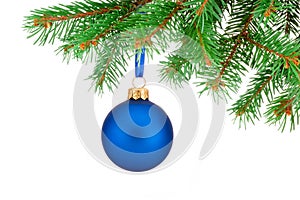 Christmas blue ball hanging on fir tree branch Isolated
