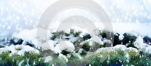 Christmas border background spruce branch in the snow falling sn photo