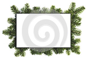 Christmas border of fir branches