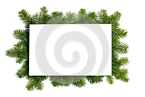 Christmas border of fir branches