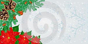 Christmas border with fir branches, cones, poinsettia flowers and rowan berries on snowflakes background.