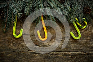 Christmas border with fir tree branches, pine cones and candy ca