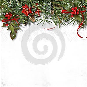 Christmas border with firtree, holly and poinsettia on white background