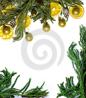 Christmas border frame of fir tree branch on white background isolated