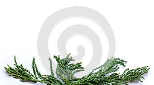 Christmas border frame of fir tree branch on white background isolated