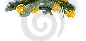 Christmas border frame of fir tree branch on white background isolated