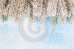 Christmas border. Green snowy fir branches on blue frozen texture background with copy space