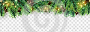 Christmas border. Holiday garland isolated on transparent background. Vector Christmas tree branches, lights and cones photo