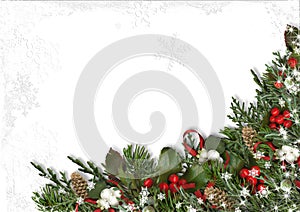 Christmas border of holly, mistletoe, cones over white background.