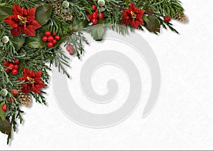 Christmas border of holly,poinsettia, mistletoe, fir tree,cones