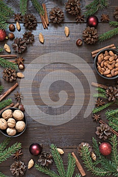 Christmas border with ingredient for cooking holiday food with copy space.