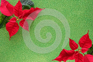 Christmas border with red poinsettia flowers in corner on green glitter paper, copy space for text