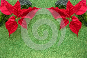 Christmas border with red poinsettia flowers in corner on green glitter paper, copy space for text