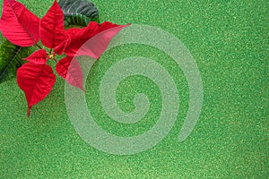 Christmas border with red poinsettia flowers in corner on green glitter paper, copy space for text