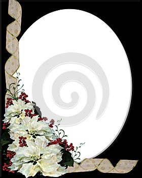 Christmas border White Poinsettia
