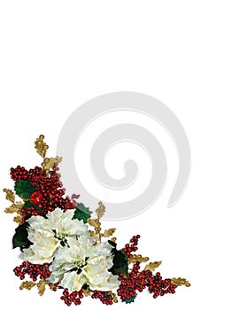 Christmas Border White Poinsettias photo