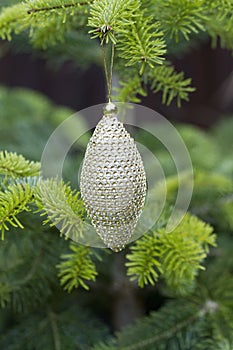 Christmas bouble on christmas tree branch