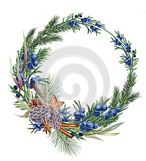 CHRISTMAS BOUQUET WITH BLUE JUNIPER BERRIES. WATERCOLOR ILLUSTRATION