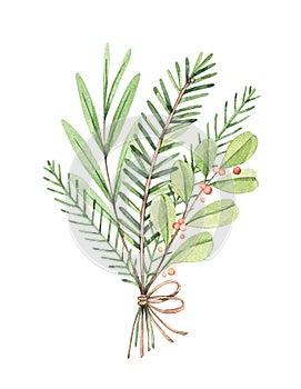 Christmas bouquet with eucalyptus, fir branch and holly - Watercolor illustration. Happy new year. Winter greenery composition. Pe