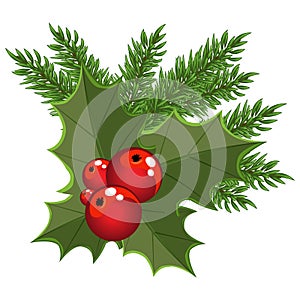 Christmas bouquet, Christmas and new year greetings, red berries and Holly leaves, spruce branches as a festive symbol of