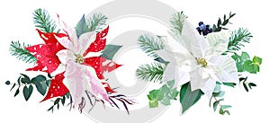 Christmas bouquets arranged from red and white poinsettia photo