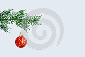 Christmas branch of a Christmas tree with ice floes and a red ball on gray background